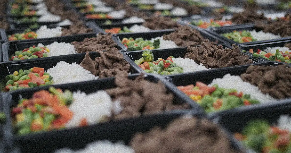 Meal prep with a lot of lunch boxes